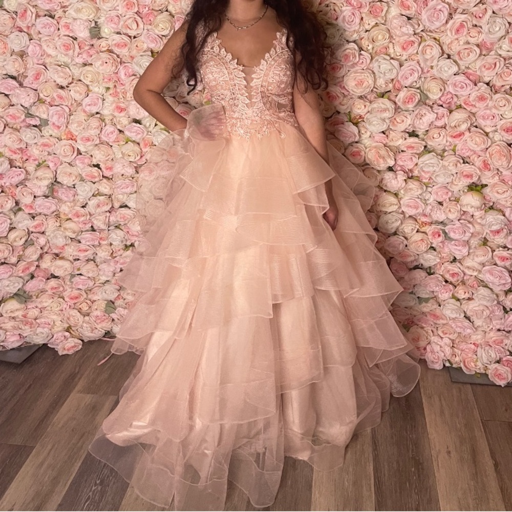 Camille la vie tulle full length dress size 4 blush